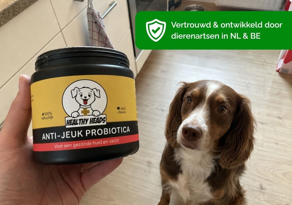 Werk aan de balans van binnenuit