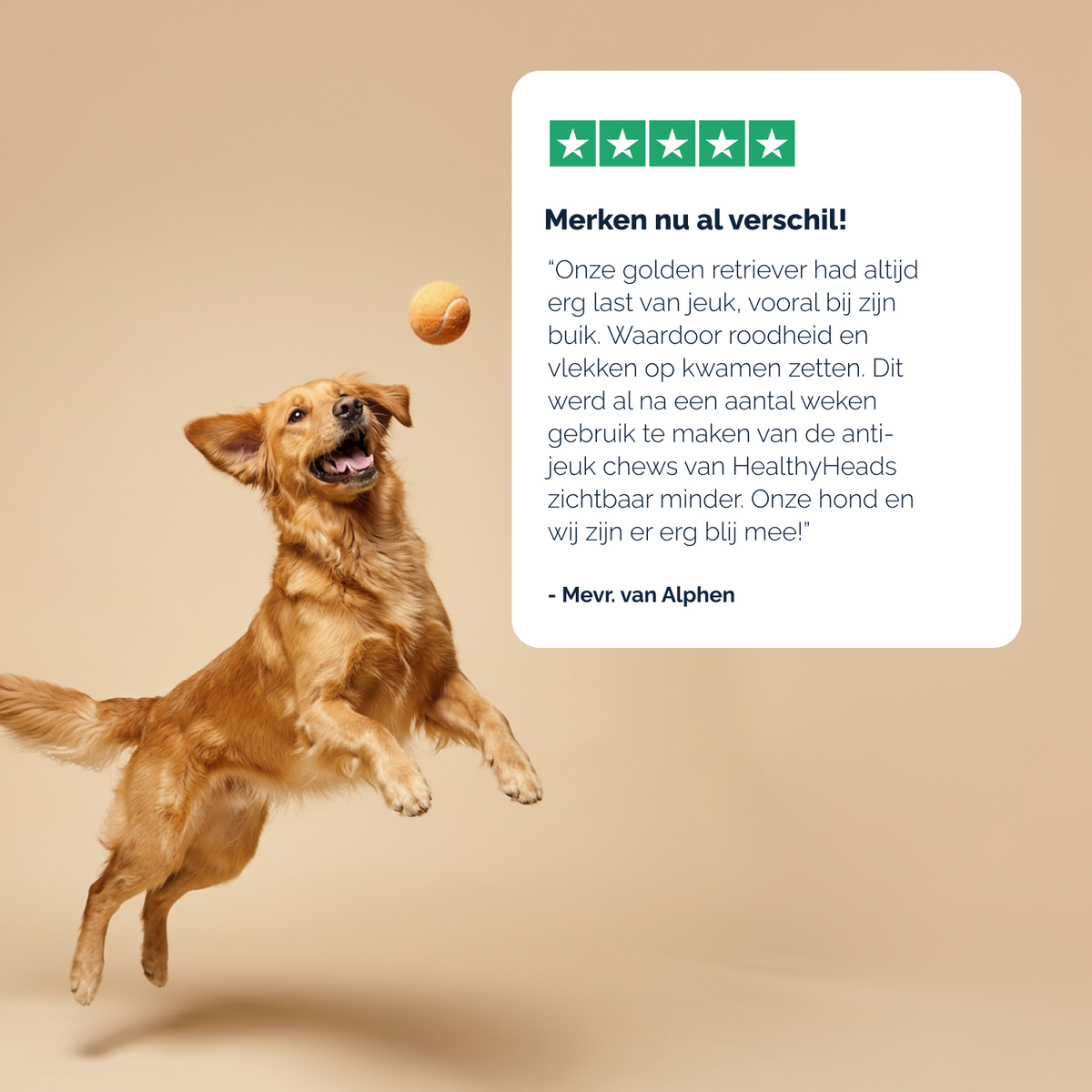 Anti-Jeuk Probiotica chews voor honden – 180g