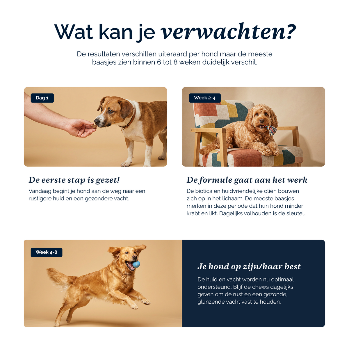 Anti-Jeuk Probiotica chews voor honden – 180g