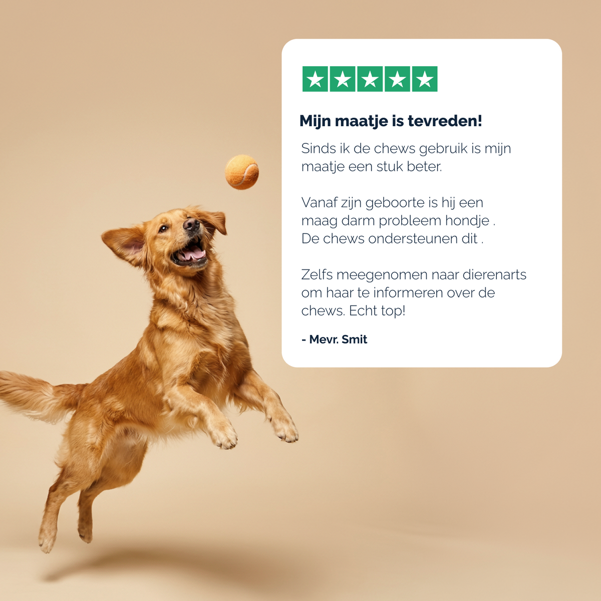 Darmflora Probiotica chews voor honden – 180g
