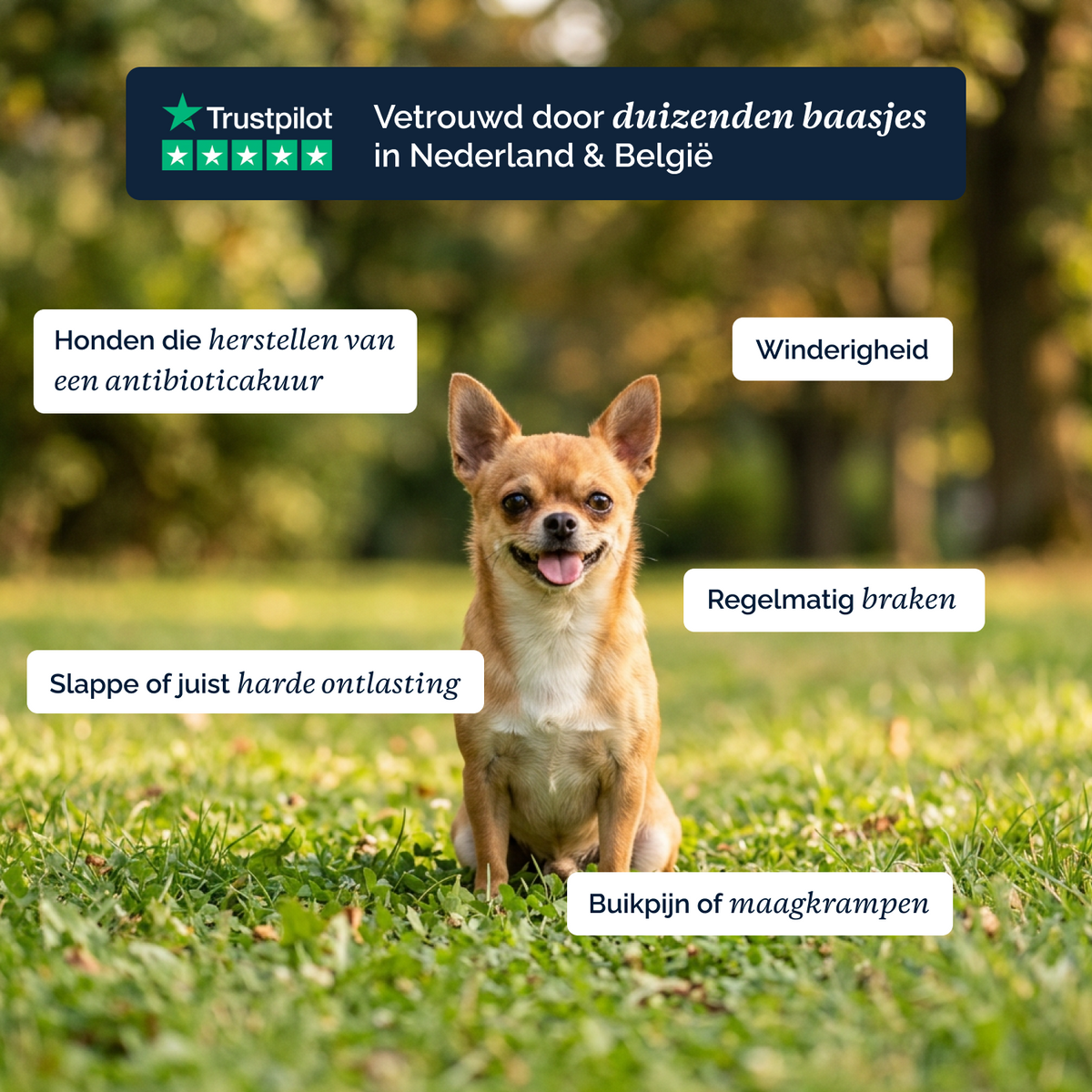 Darmflora Probiotica chews voor honden – 180g