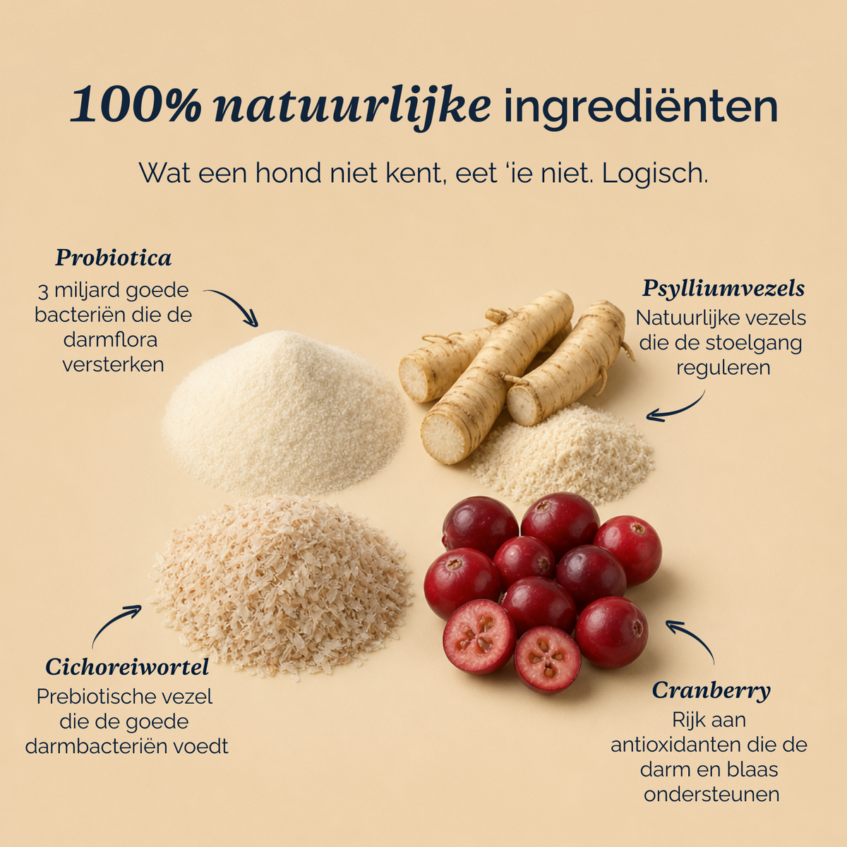 Darmflora Probiotica chews voor honden – 180g