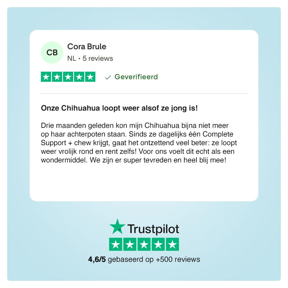 Complete Support + chews voor honden – 180g