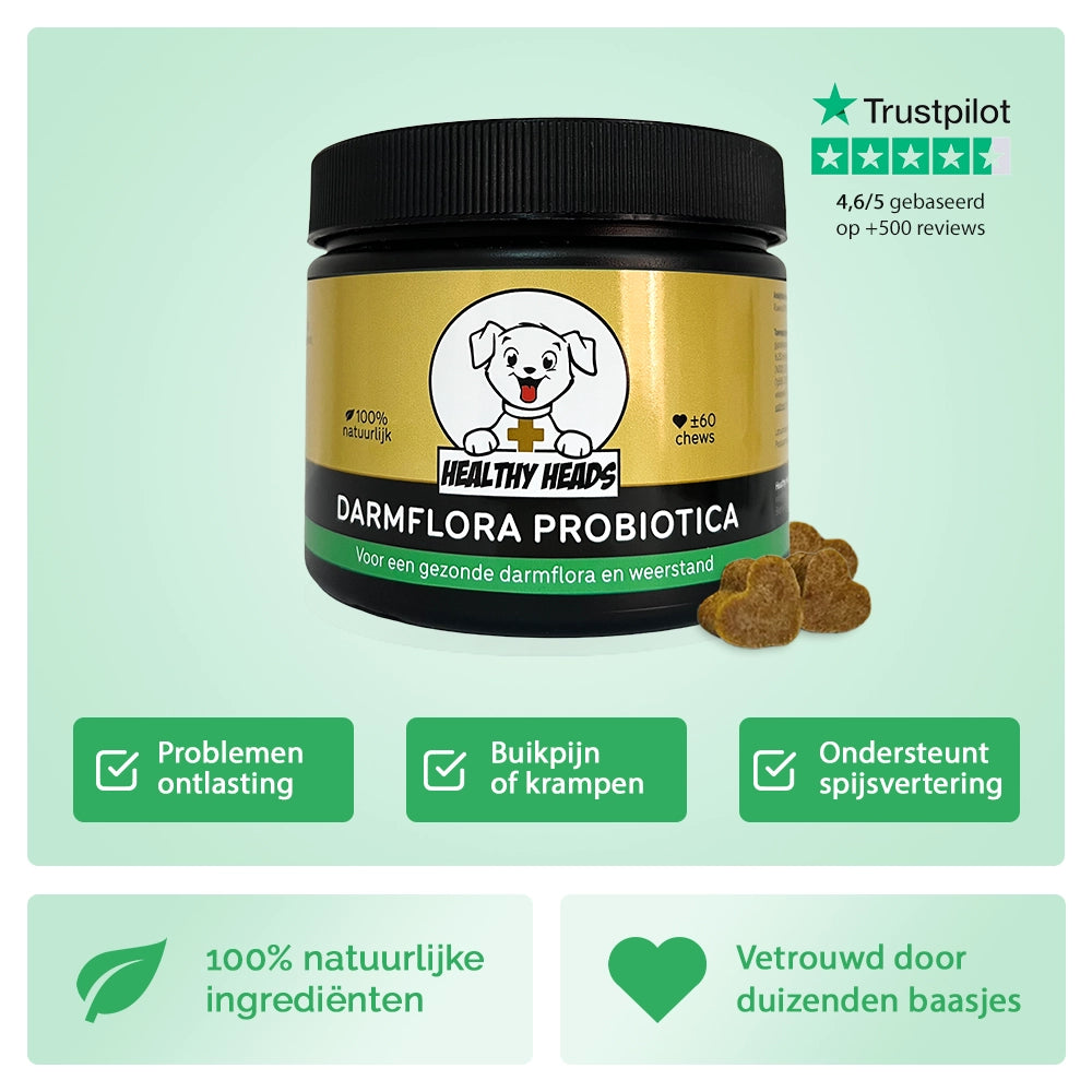Darmflora Probiotica chews voor honden – 180g