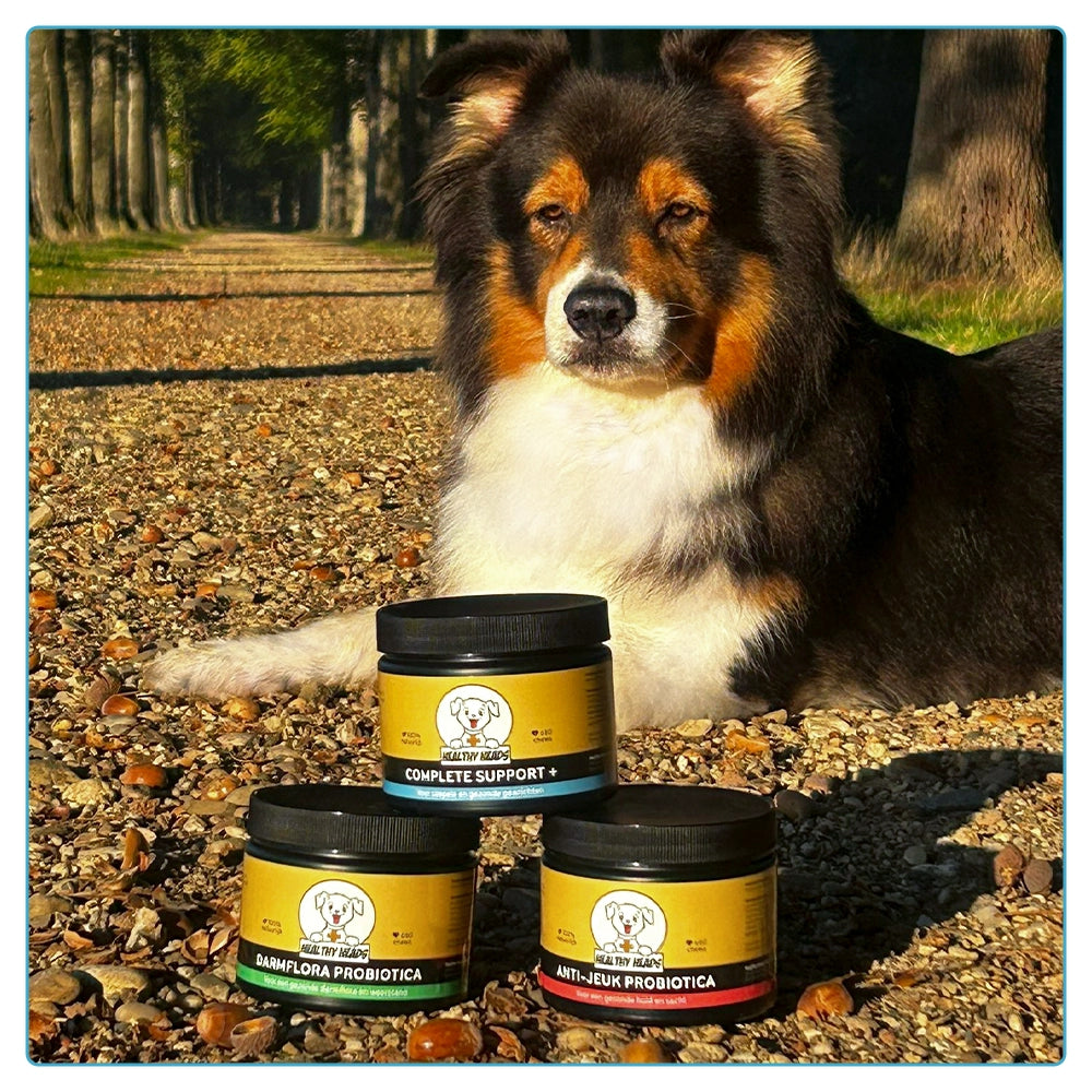 Complete Support + chews voor honden – 180g