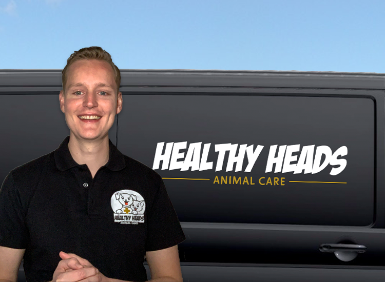 Healthy Heads