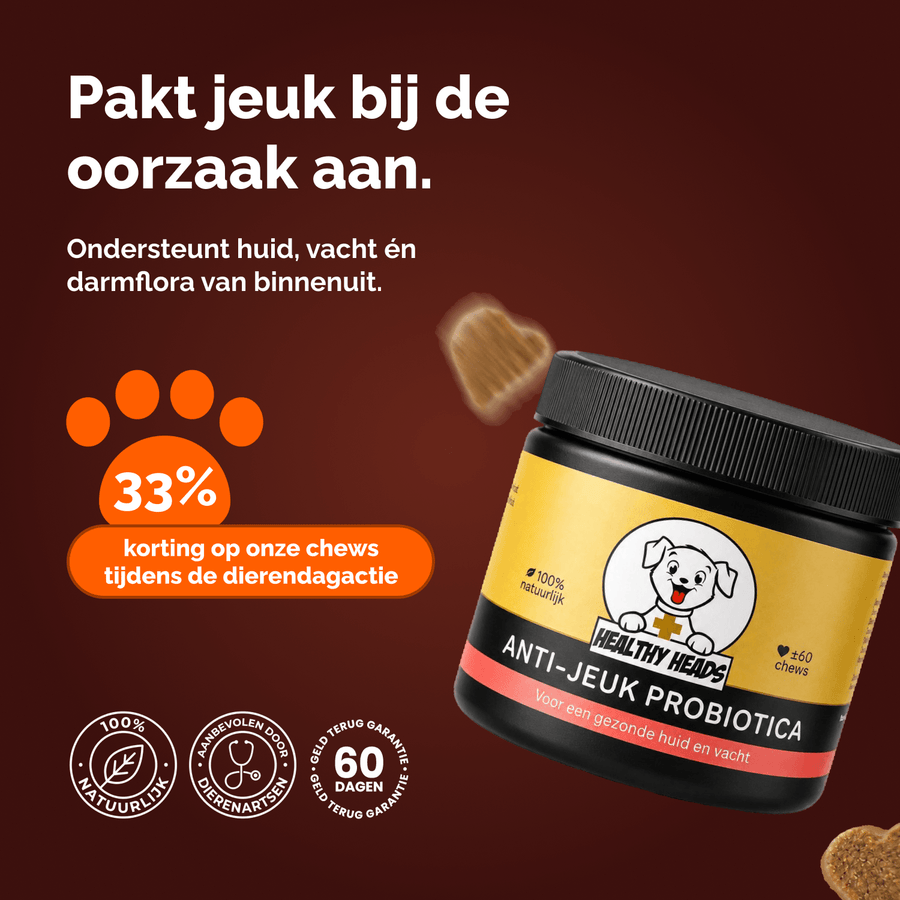 Anti-Jeuk Probiotica chews
