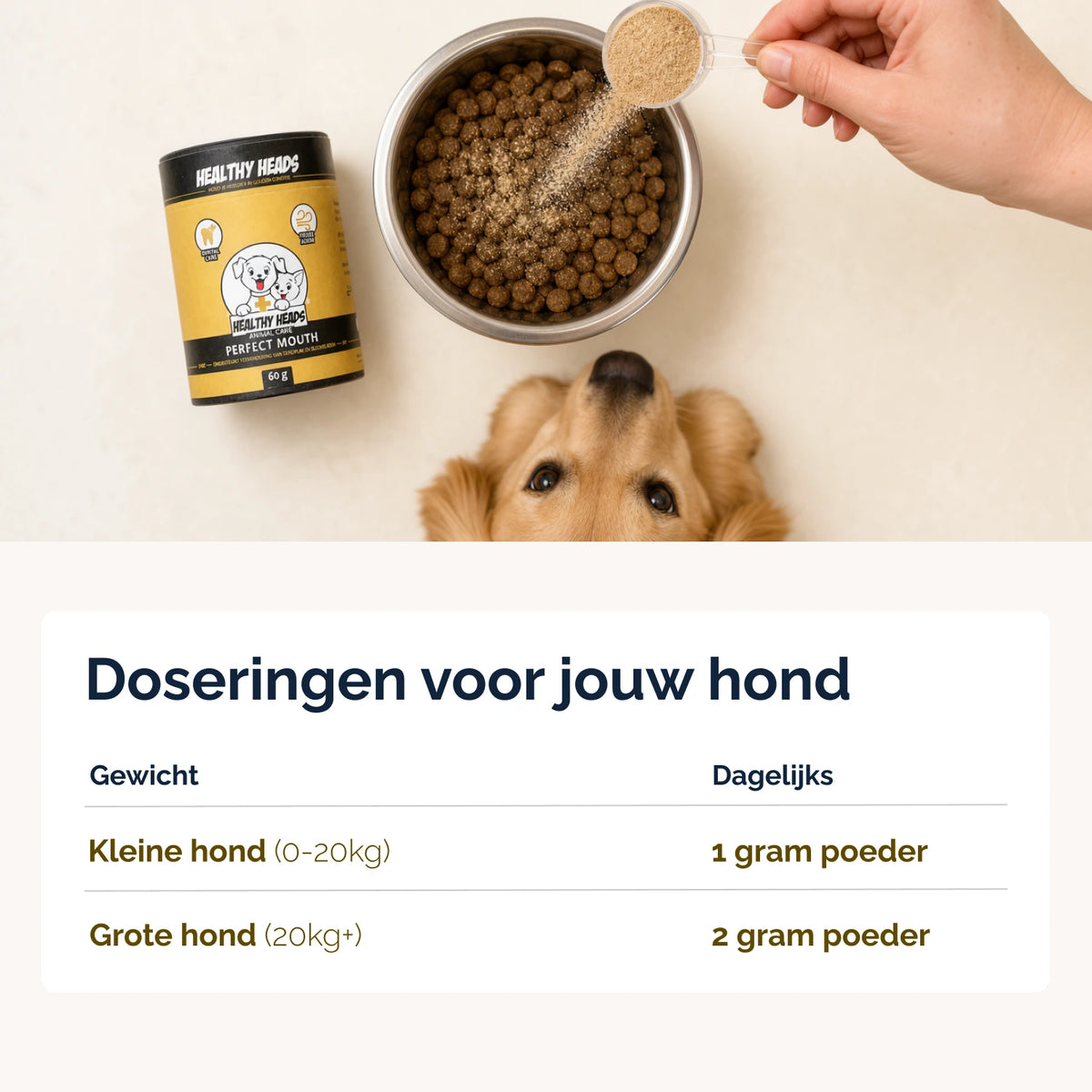 Perfect Mouth poeder  – 60g