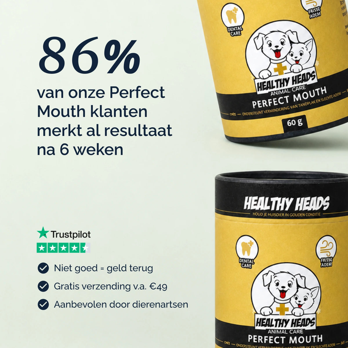 Perfect Mouth poeder  – 60g