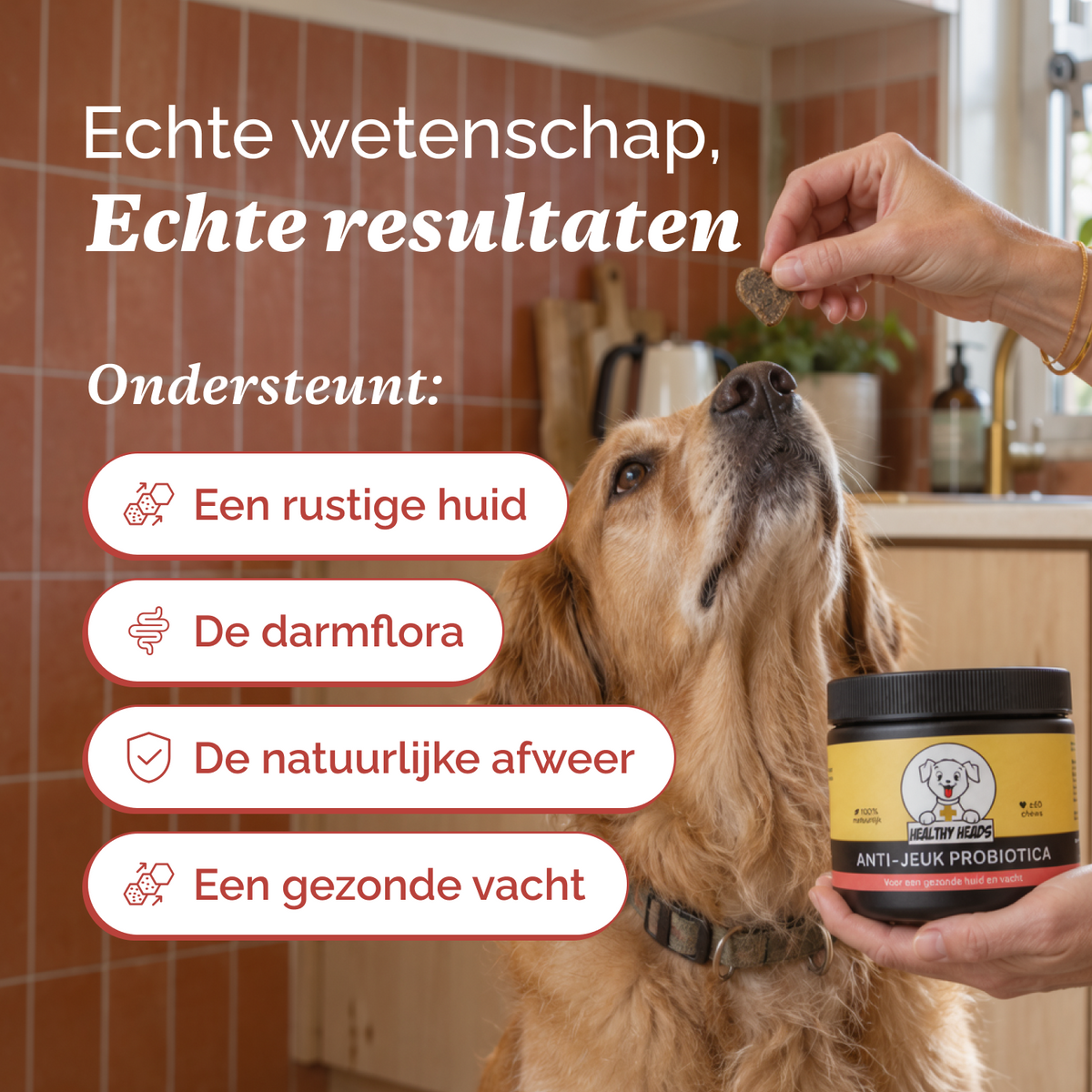 Anti-Jeuk Probiotica chews