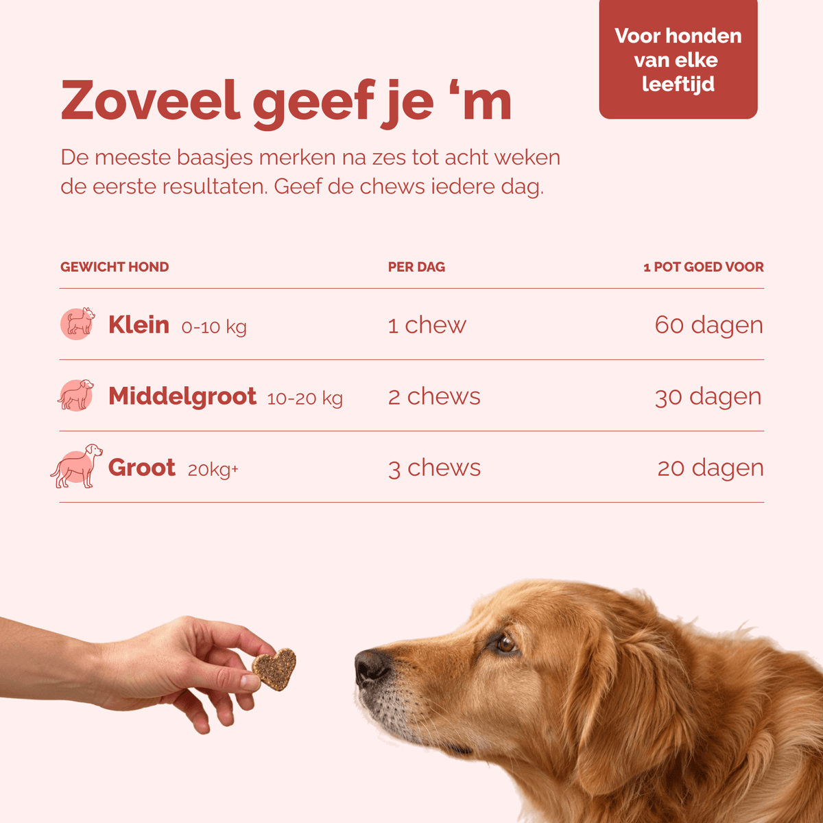 Anti-Jeuk Probiotica chews