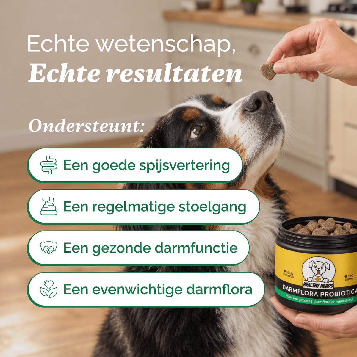 Darmflora Probiotica chews