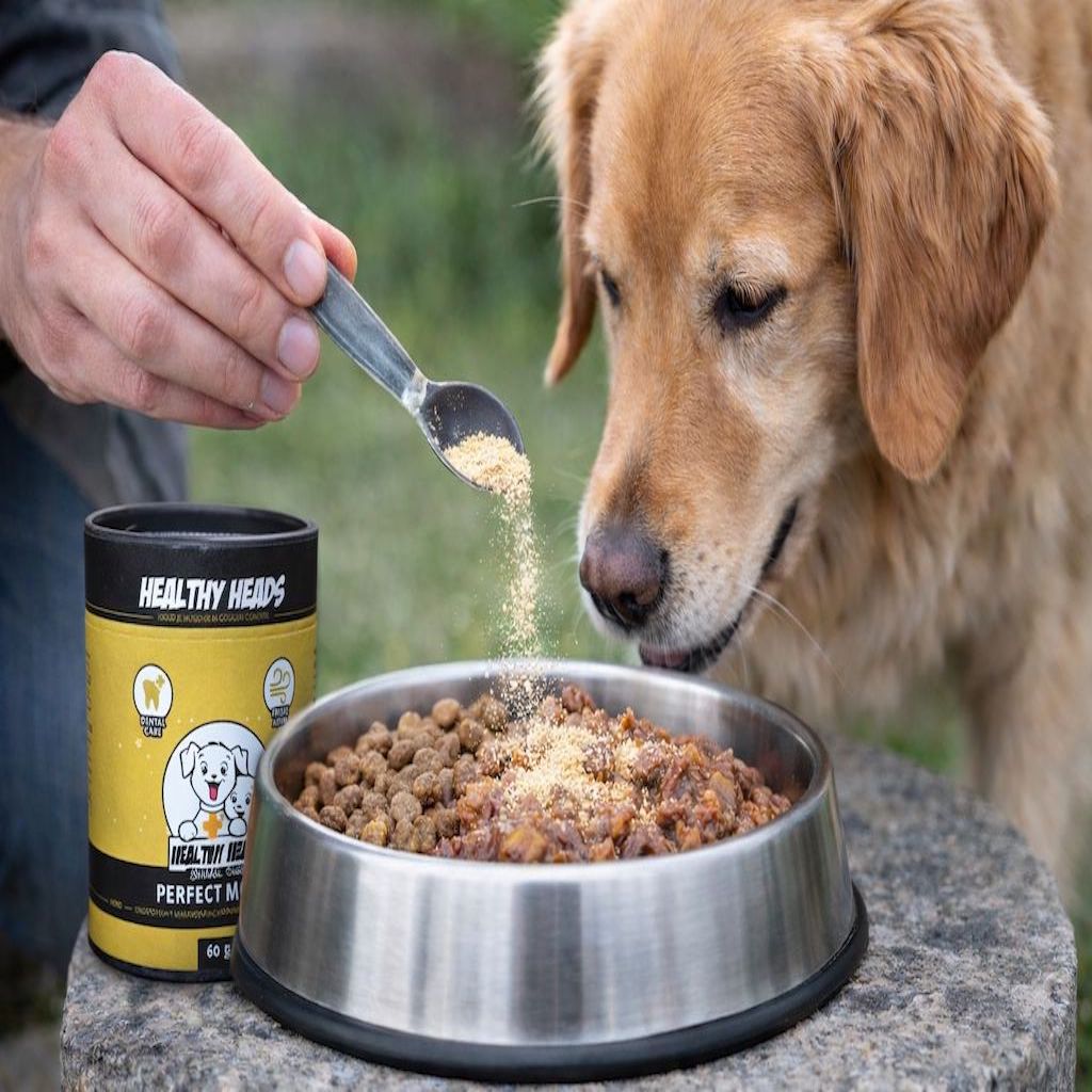 Perfect Mouth poeder voor honden en katten – 60g